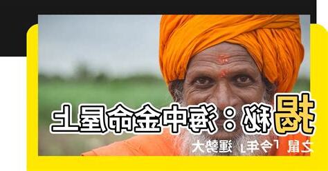 海中金命 屋上之鼠